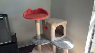 Yaheetech 65in Cute Cat Tree Cat Paw Shaped Play Tower Heres What It Looks Like In Person [upl. by Loredo]