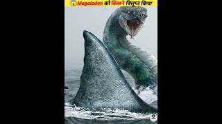 आखरी बची megalodon को किसने मारा 😱 titanoboa vs megalodon viral facts shorts [upl. by Letha975]