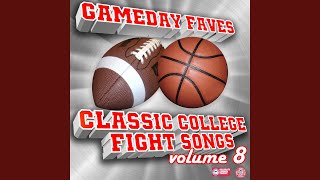 Gamecock Fight Song  South Carolina Gamecocks Live [upl. by Adnawal]