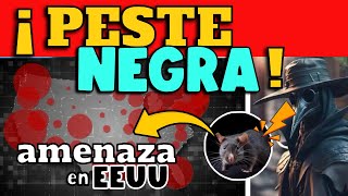 ALERTA ⚠️ LA quotPESTE NEGRAquot PODRÍA REAPARECER 😱 😱 😱 CIENTÍFICOS DETERMINAN FACTORES A CONSIDERAR [upl. by Uriisa]