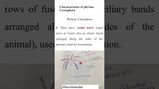 Characteristics of Ctenophorazoologyshort QuestionADSBs [upl. by Marquita]