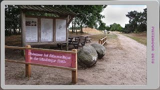 Pietzmoor  Schneverdingen  Trockener Sommer 2018  Photo Show [upl. by Ameer]