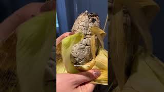 JAGUNG HUITLACOCHE shorts shortvideo hudapahlevin [upl. by Plate987]