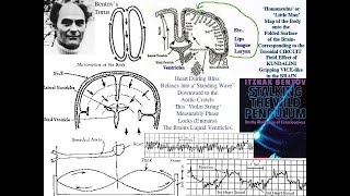 Stalking the Wild Pendulum Itzhak Bentov’s Journey into Consciousness [upl. by Munster]