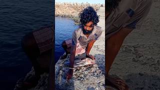 Young Man Using Big Fish to Catch Variety Fishes fishing fishingvideos thoondilulagam seafishing [upl. by Tris]