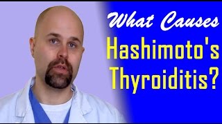 What Causes Hashimotos Thyroiditis [upl. by Tannen319]