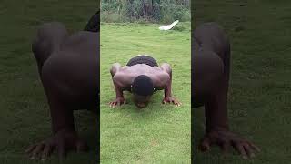 Full body Workouts vinceogyms motivation pushups subscribe gym fedevigevani VladandNiki [upl. by Yzmar]