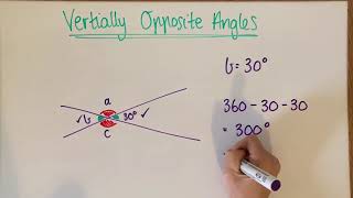 Geometry │ Vertically Opposite Angles [upl. by Ithnan]