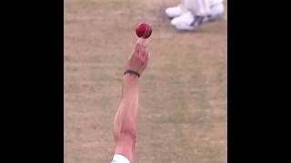 Dale Steyn Sets Up Brad Haddin With Genius Outswing Bowling  Analysis [upl. by Etra]