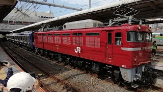 【4両のE235系配給は何故EF81牽引なのか？】E235系1000番台J38編成新津配給EF81134号機牽引 大宮駅発車 [upl. by Parsons]