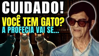 CHOCANTE O Que Chico Xavier PREVIU para quem tem GATOS EM CASA  Profecias [upl. by Sherourd]