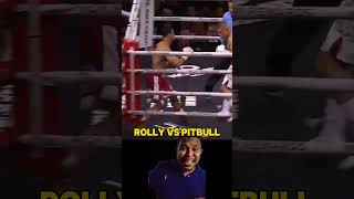 Rolly vs Pitbull  reaction shorts [upl. by Yenot]