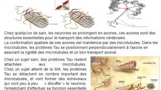 CYTOLOGIE Le Cytosquelette [upl. by Nauj]