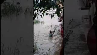 crocodile attack women Howrah salkia Bhagirathi river 😭😭 likeandsubscribe shorts viral [upl. by Xuagram]