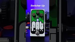 Pigtronix Fat Drive pigtronix fatdrive overdrivepedal [upl. by Ennobe631]