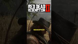 Top Incredible Details in RDR2 [upl. by Wiggins]