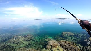 SAKING JERNIHNYA AIR KELIHATAN JELAS SAAT IKAN MEMAKAN UMPAN  MANCING NGOYOR KARANG DANGKAL [upl. by Misti]