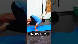 Master CROW POSE Calisthenics Moves for Beginners [upl. by Nek609]