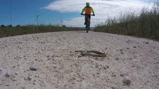 Lombriz terrestre Lumbricus terrestris bajo el sol vs MTB bike cycling mtb lombrices [upl. by Moersch132]