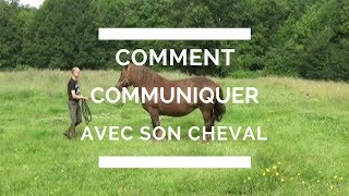 comment parler communiquer échanger avec son cheval [upl. by Thomasin538]