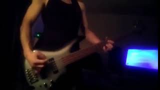 bass cover SCHISM by TOOL [upl. by Llij]