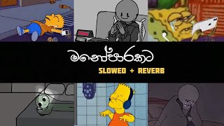 මනෝපාරකට සිංදු  Slowed and Reverb  Manoparakata Shinhala song Collection [upl. by Yddub172]