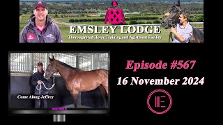 Nov 16 2024  Emsley Lodge Report [upl. by Arondel]