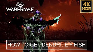 How To Get Dendrite Blastoma amp Amniophysi Barbisteo Vitreospina Fish  Warframe [upl. by Hcirteid793]