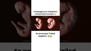 What is embryogenesis Embryogenesis Embryo embryology  Embryogenesis science [upl. by Otineb418]