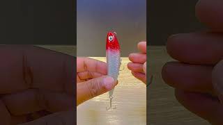 Best fishing lure fishing fishingmethods fishingtips fishingtricks review [upl. by Bobine955]