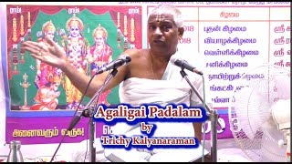 Agaligai Padalam  அகலிகை படலம்  Gautama Maharishi   Trichy Kalyanaraman [upl. by Idnahc27]