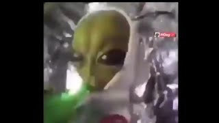 Alien meme song Patlamaya Devam Official VideoFullHDmp4 [upl. by Ode310]