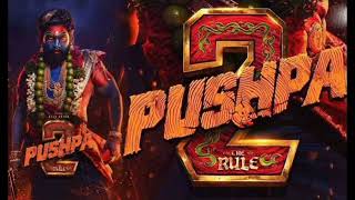 Pushpa2 Movie Review  Rappa Rappa Records [upl. by Eerolam]