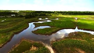 The Staten Island Wetlands [upl. by Ardnosak]