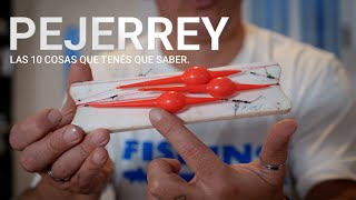 PEJERREY Las 10 cosas que tenes que saber de esta pesca [upl. by Amihsat]