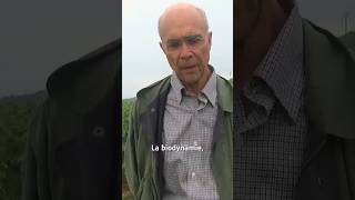 🍷La RomanéeConti estelle en bio et en biodynamie  💫 [upl. by Lesde155]