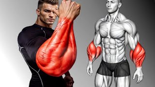 Most Effective Forearm Workout for Muscle Growth and thicker forearm [upl. by Aynosal266]