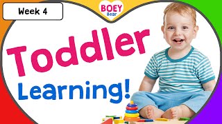 Educational Videos for Toddlers  2 year old 3 year old 4 year old Learning Videos with Boey Bear [upl. by Leaw]