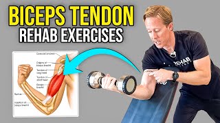 2 Biceps Tendonitis Exercises [upl. by Leinaj]