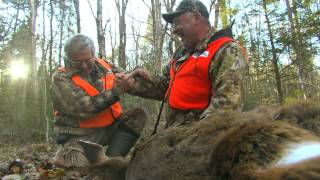 Chasse au chevreuil et à lorignal  Réserve faunique de PapineauLabelle  Sépaq [upl. by Aenil]