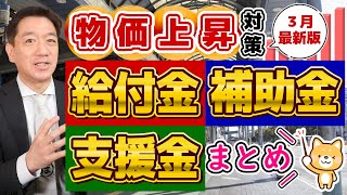 【3月度 物価高騰 給付金・補助金・支援金まとめ】最大500万円等 都道府県別 個人事業主・小規模向け 電気・燃料・LPガス補助 医療・介護・運送事業者等  厚労省支援策〈24年3月時点〉 [upl. by Kenimod829]