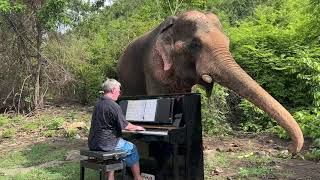 Grieg quotAriettaquot on Piano for Chaichana a Bull Elephant [upl. by Ninahs599]