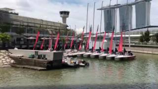 Otter family spotted having a fun time at Marina Bay Singapore [upl. by Adehsor]