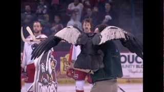 Condor goes WILD during Bakersfield Condors Game [upl. by Nnahgem]