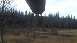 elgjakt 2012 skuddscene moose hunt norway shooting [upl. by Wittie]