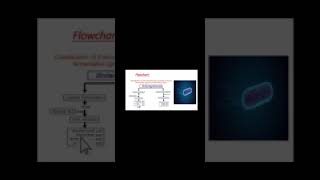 Fermentation by Enterobacteriaceae and Clostridia Part 1mayankpandeybiochemistevan2678 [upl. by Coplin430]