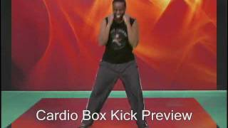 Cardio Box Kick  Paul Eugene [upl. by Sileas]