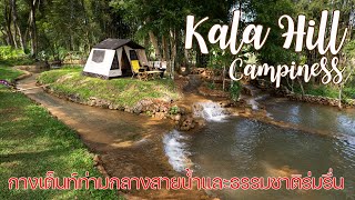 ลานกางเต็นท์อารมณ์เทพนิยายท่ามกลางธรรมชาติ  Kala Hill Campiness  พาลูกเที่ยว  ASMR [upl. by Alilad369]