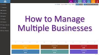 How to Manage Multiple Businesses [upl. by Gillmore]