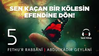 Fethur Rabbani  Abdülkadir Geylani  Tevhid  5 Meclis 🎧 Sesli Kitap [upl. by Alethea]